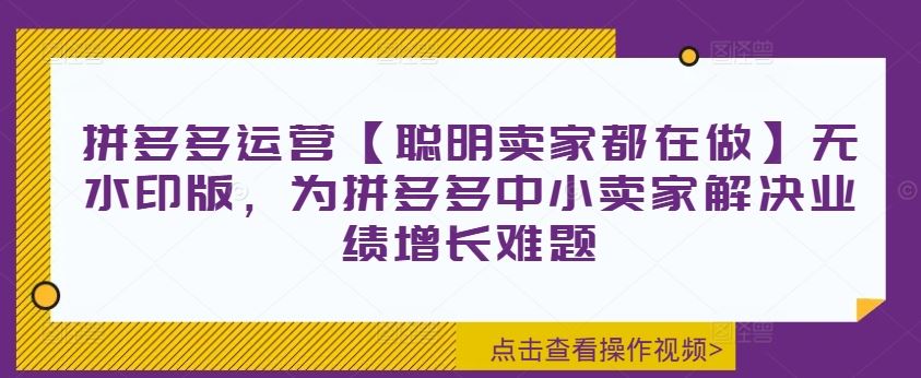 拼多多运营【聪明卖家都在做】无水印版，为拼多多中小卖家解决业绩增长难题-副业猫