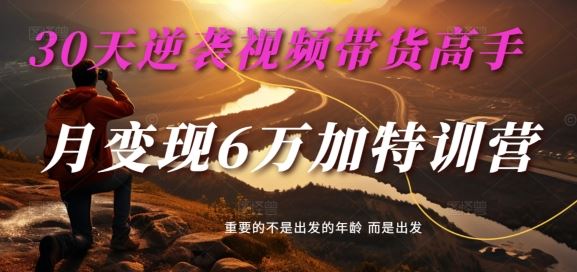 30天逆袭视频带货高手，单月变现6万加特训营-麦子甜-副业猫