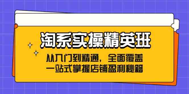 淘系实操精英班：从入门到精通，全面覆盖，一站式掌握店铺盈利秘籍-副业猫