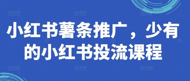 小红书薯条推广，少有的小红书投流课程-副业猫