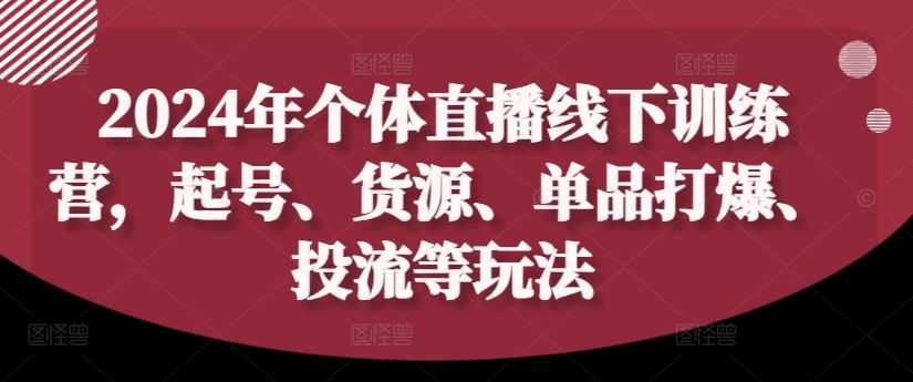 2024年个体直播训练营，起号、货源、单品打爆、投流等玩法-副业猫