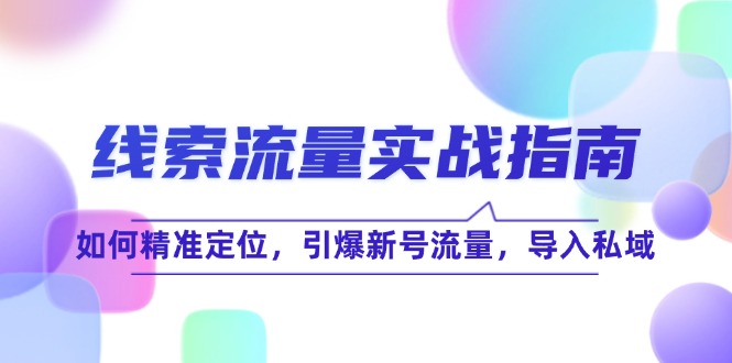 （12382期）线 索 流 量-实战指南：如何精准定位，引爆新号流量，导入私域-副业猫