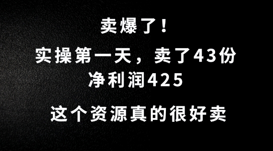 这个资源，需求很大，实操第一天卖了43份，净利润425【揭秘】-副业猫