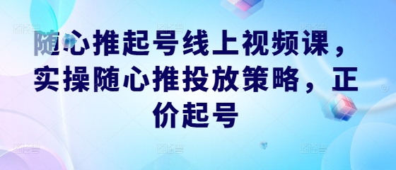 随心推起号线上视频课，实操随心推投放策略，正价起号-副业猫