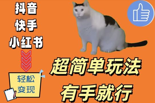 超简单玩法，有手就行，靠猫咪视频日入500+【揭秘】-副业猫