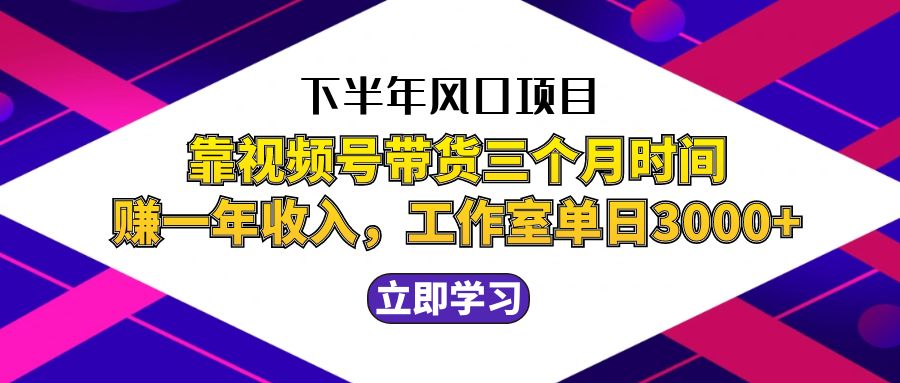 （12849期）下半年风口项目，靠视频号带货三个月时间赚一年收入，工作室实测单日3…-副业猫