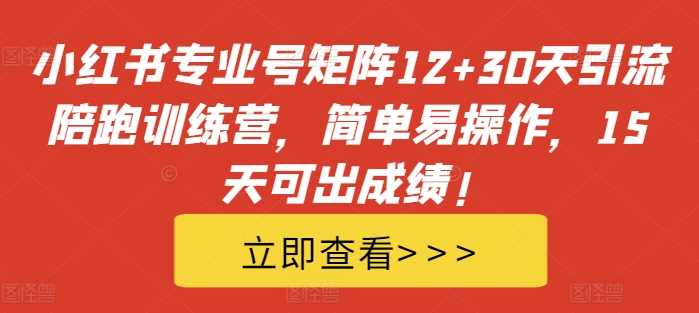 小红书专业号矩阵12+30天引流陪跑训练营，简单易操作，15天可出成绩!-副业猫