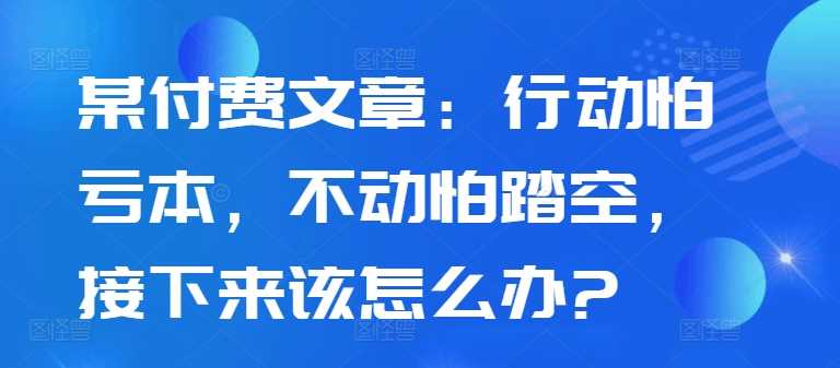 某付费文章：行动怕亏本，不动怕踏空，接下来该怎么办?-副业猫