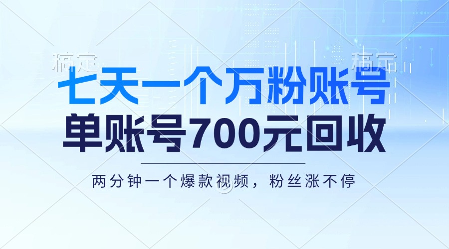 （13062期）七天一个万粉账号，新手小白秒上手，单账号回收700元，轻松月入三万＋-副业猫