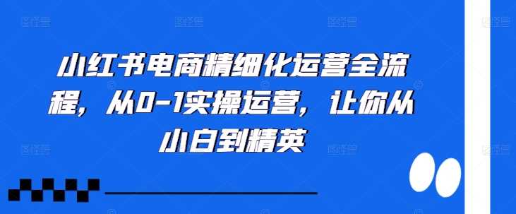 小红书电商精细化运营全流程，从0-1实操运营，让你从小白到精英-副业猫