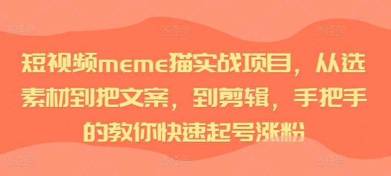 短视频meme猫实战项目，从选素材到把文案，到剪辑，手把手的教你快速起号涨粉-副业猫