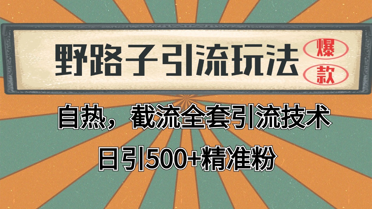 抖音小红书视频号全平台引流打法，全自动引流日引2000+精准客户-副业猫