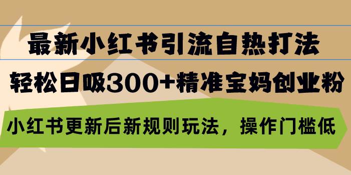 （13145期）最新小红书引流自热打法，轻松日吸300+精准宝妈创业粉，小红书更新后新…-副业猫