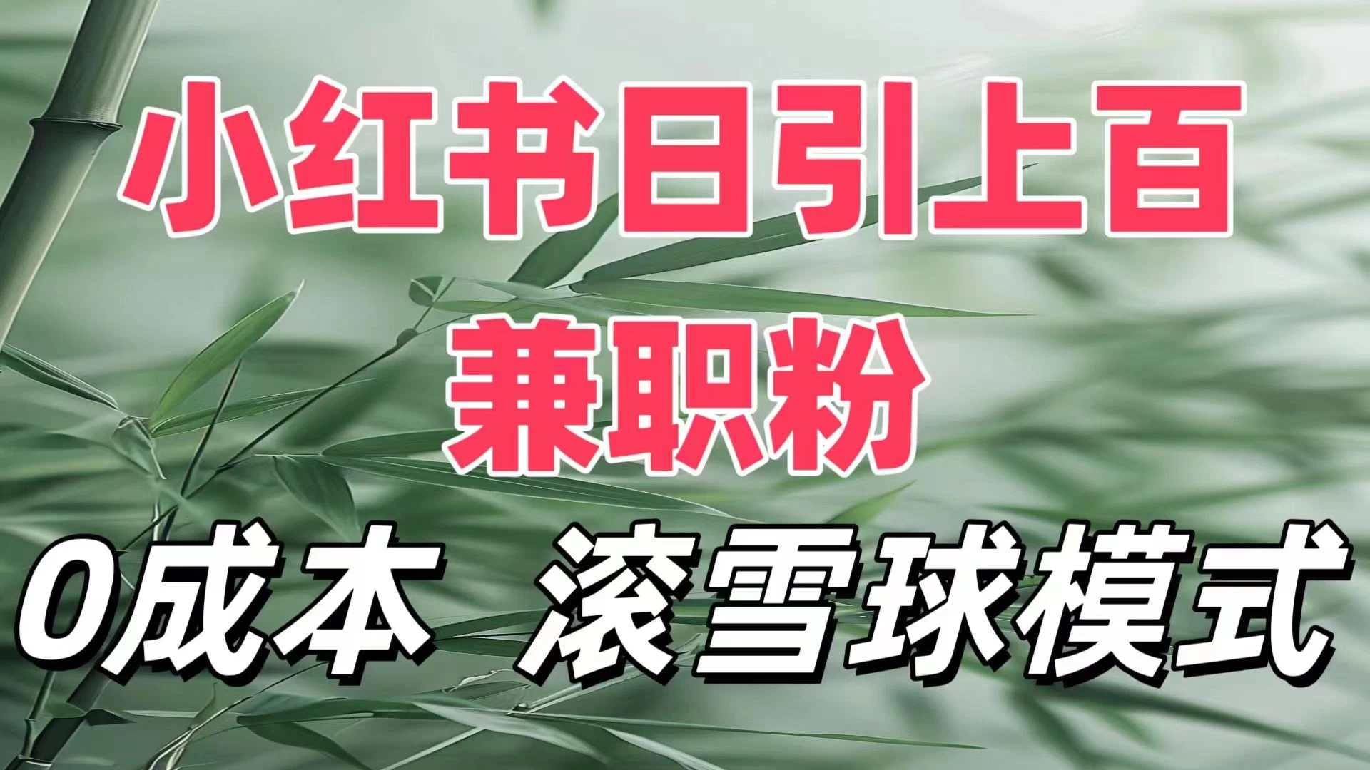 最新小红书引流自热，轻松日引上百精准宝妈创业粉，滚雪球模式，门槛低的新规则玩法-副业猫