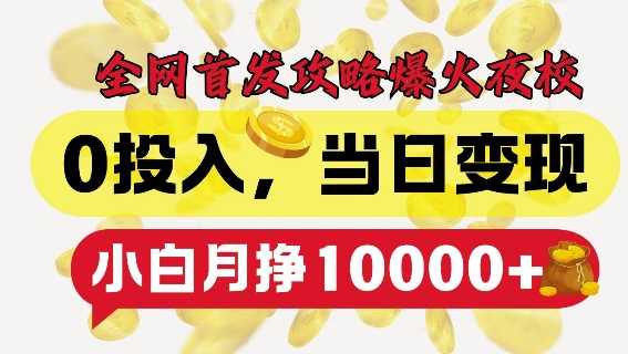 全网首发爆火夜校，0投入，当日变现，小白轻松月入1w+【揭秘】-副业猫