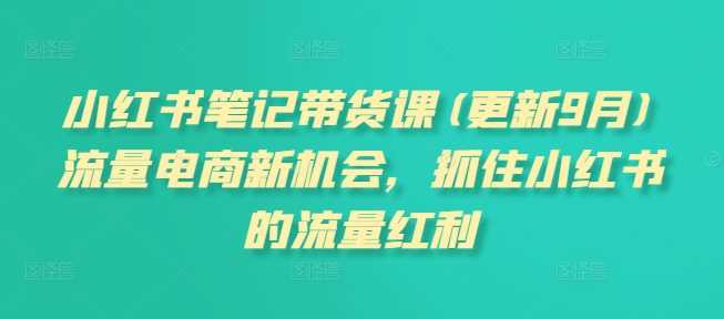 小红书笔记带货课(更新11月)流量电商新机会，抓住小红书的流量红利-副业猫