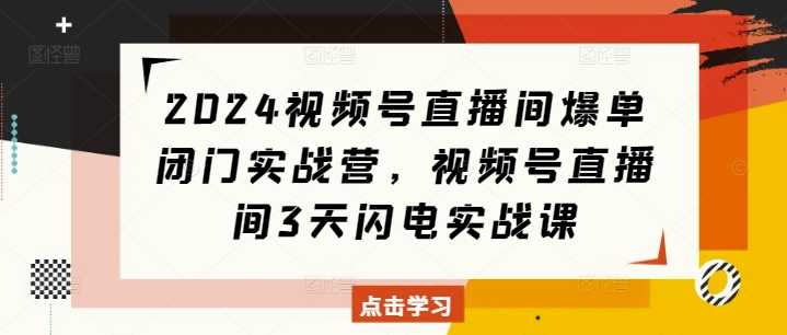 2024视频号直播间爆单闭门实战营，视频号直播间3天闪电实战课-副业猫