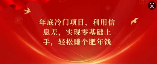 年底冷门项目，利用信息差，实现零基础上手，轻松赚个肥年钱【揭秘】-副业猫