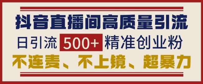 抖音直播间引流创业粉，无需连麦、不用上镜、超暴力，日引流500+高质量精准创业粉-副业猫