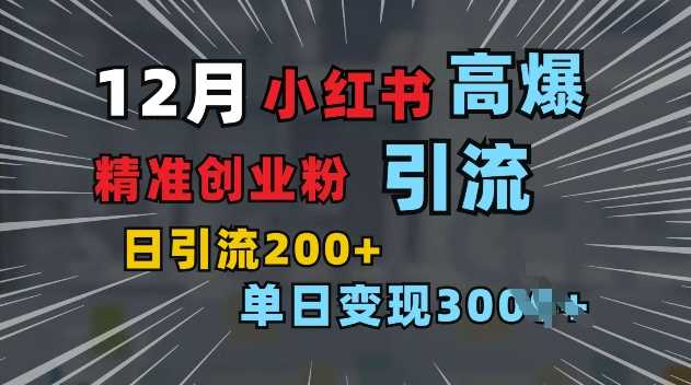 小红书一张图片“引爆”创业粉，单日+200+精准创业粉 可筛选付费意识创业粉【揭秘】-副业猫