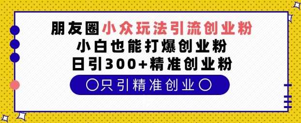 朋友圈小众玩法引流创业粉，小白也能打爆创业粉，日引300+精准创业粉【揭秘】-副业猫