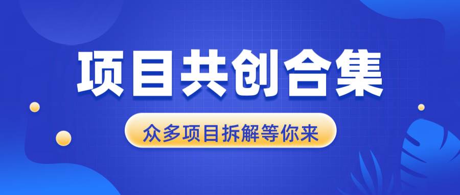 （13778期）项目共创合集，从0-1全过程拆解，让你迅速找到适合自已的项目-副业猫