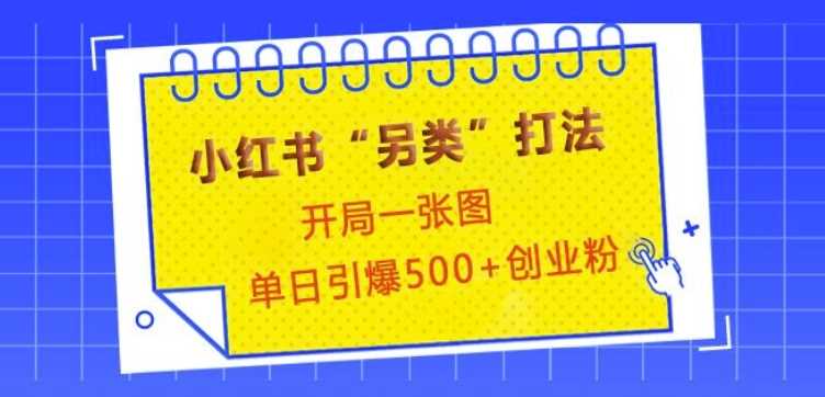 小红书“另类”打法，开局一张图，单日引爆500+精准创业粉【揭秘】-副业猫