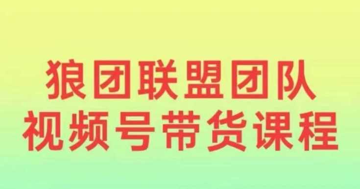 狼团联盟2024视频号带货，0基础小白快速入局视频号-副业猫