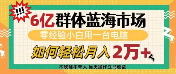 6亿群体蓝海市场，零经验小白用一台电脑，如何轻松月入过w【揭秘】-副业猫