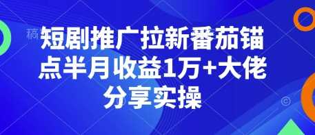 短剧推广拉新番茄锚点半月收益1万+大佬分享实操-副业猫